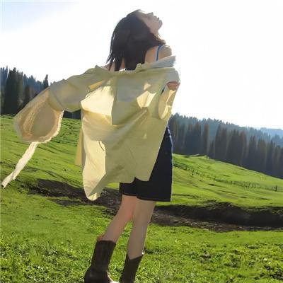 黑之契约者2:流星的双子